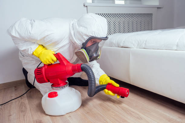 Wildlife Control Services in Green Valley, AZ