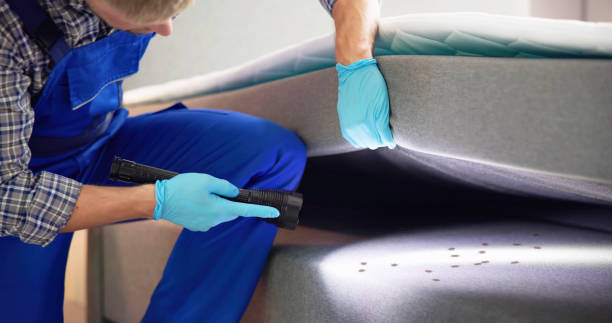 Best Cockroach Control Services  in Green Valley, AZ