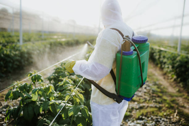 Best Pest Inspection Near Me  in Green Valley, AZ
